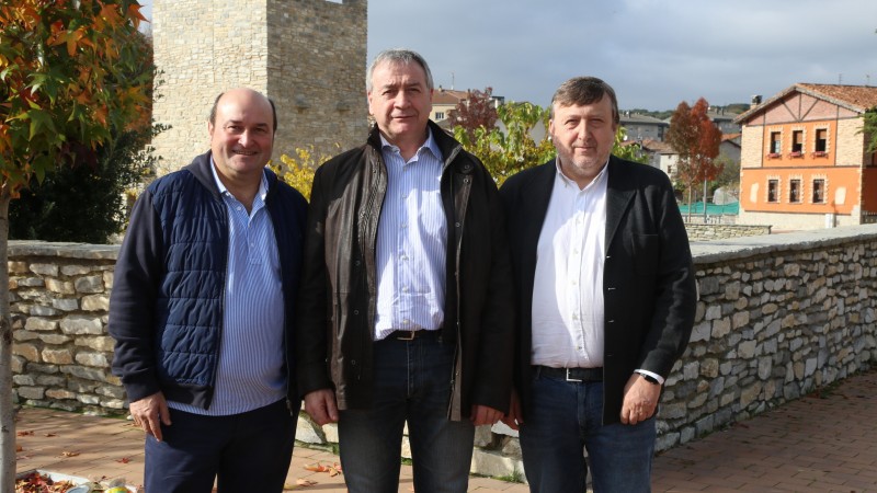 VI. Añanako Alderdikide Eguna