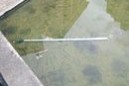 EL VANDALISMO IRRUMPE EN LAS INMEDIACIONES DEL RECIEN REHABILITADO PARQUE DE LAMUZA